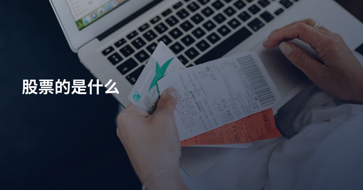 股票的是什么