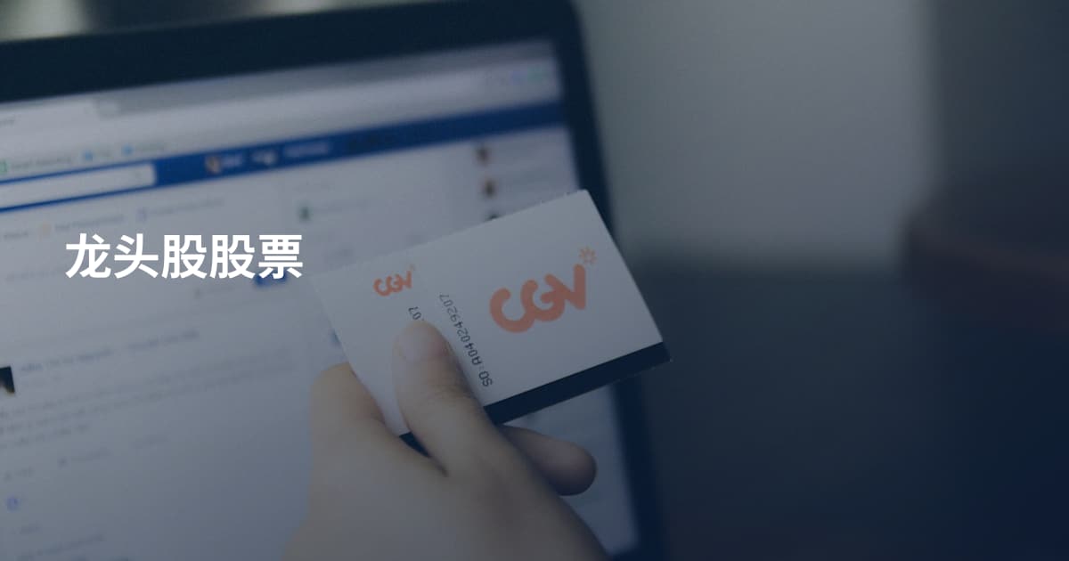 龙头股股票