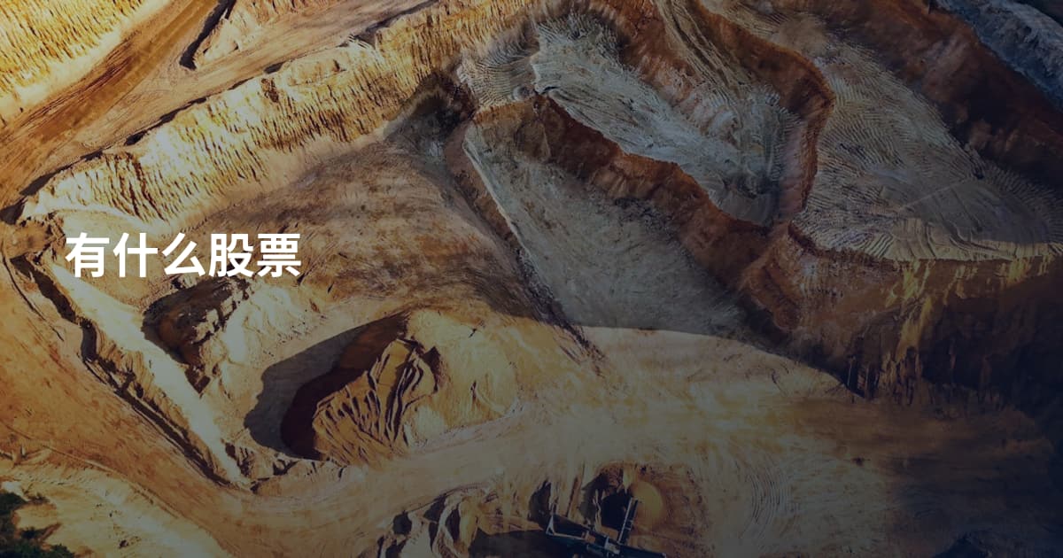 有什么股票