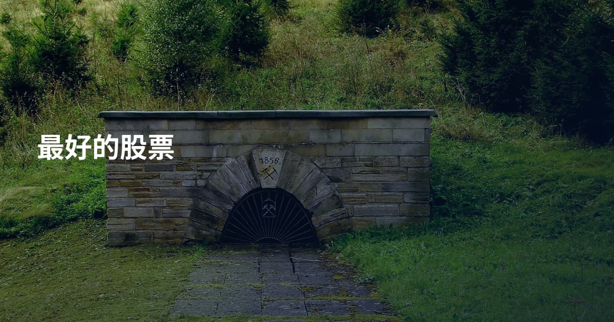 最好的股票