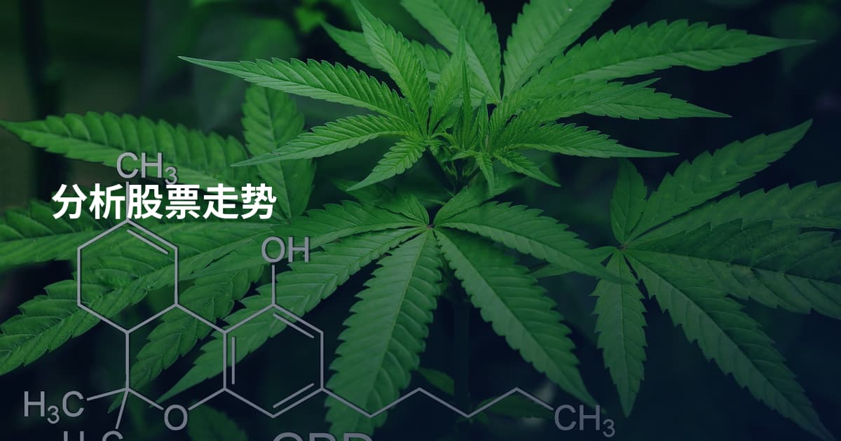 分析股票走势
