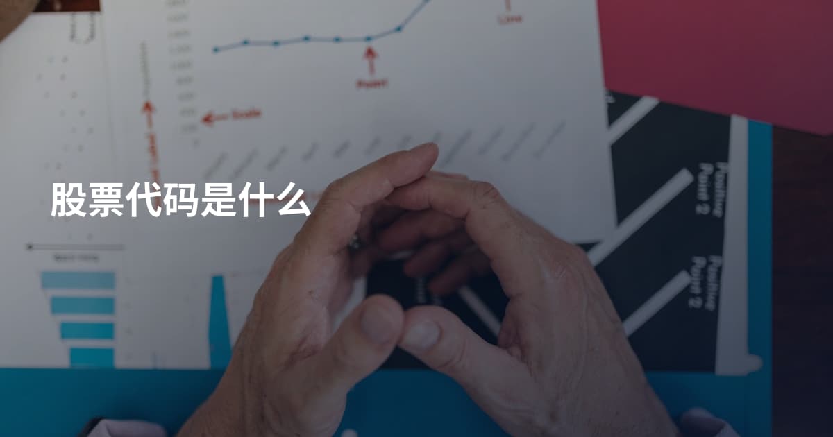股票代码是什么