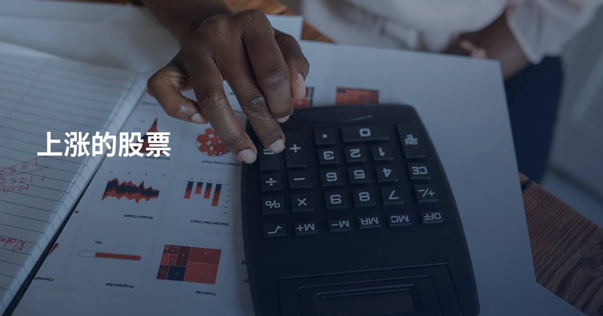 上涨的股票