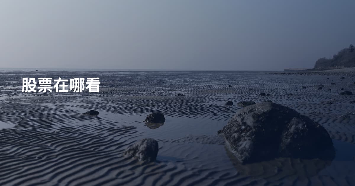 股票在哪看