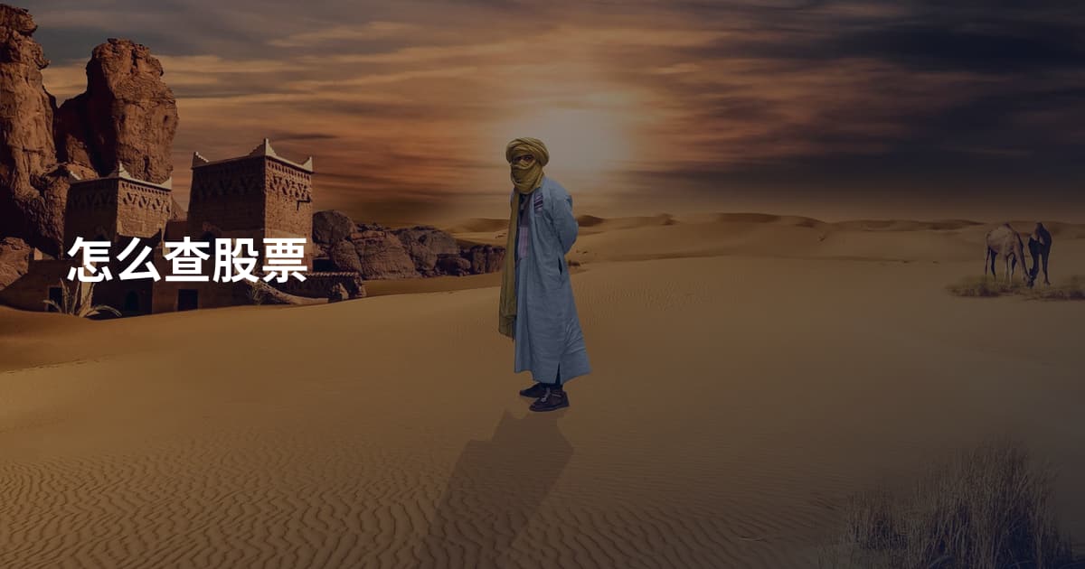 怎么查股票