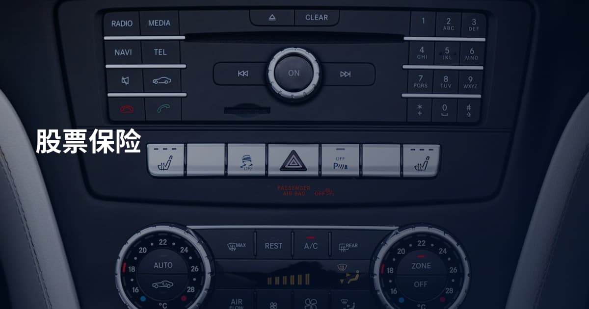 股票保险