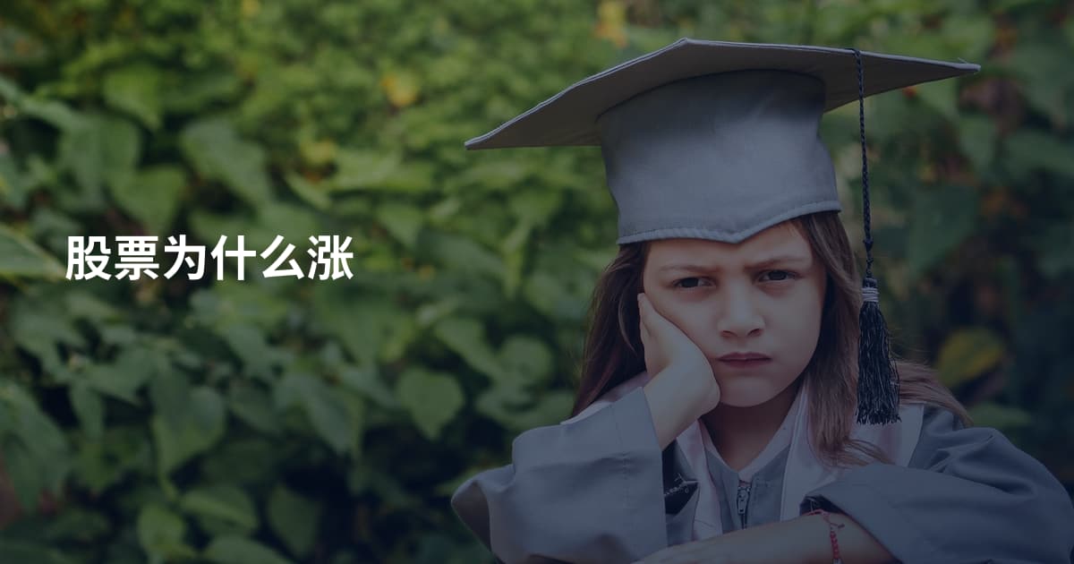 股票为什么涨
