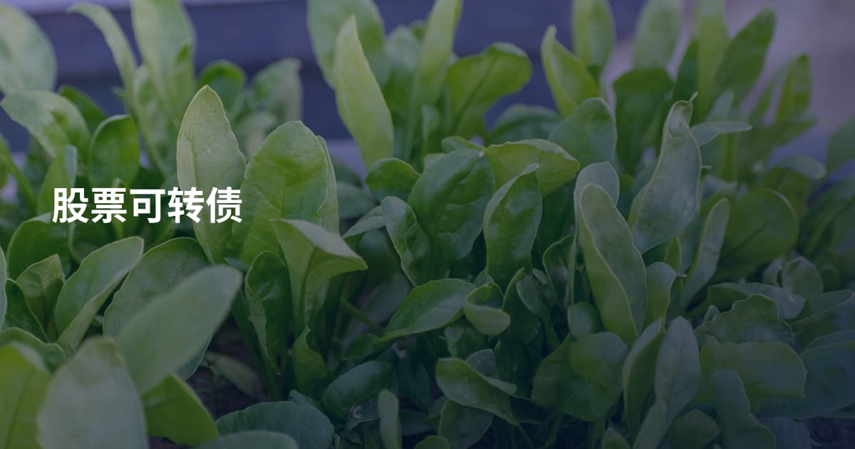股票可转债