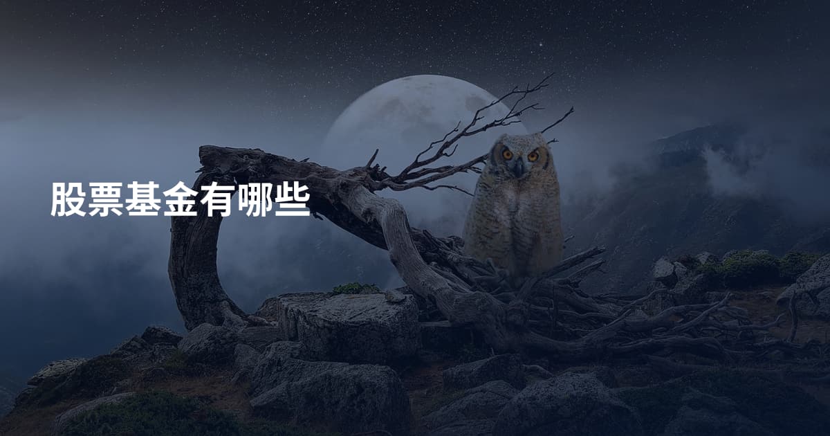 股票基金有哪些