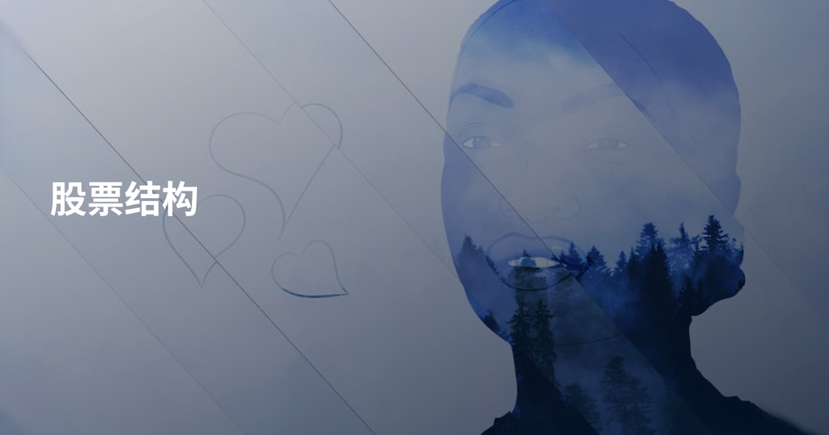 股票结构