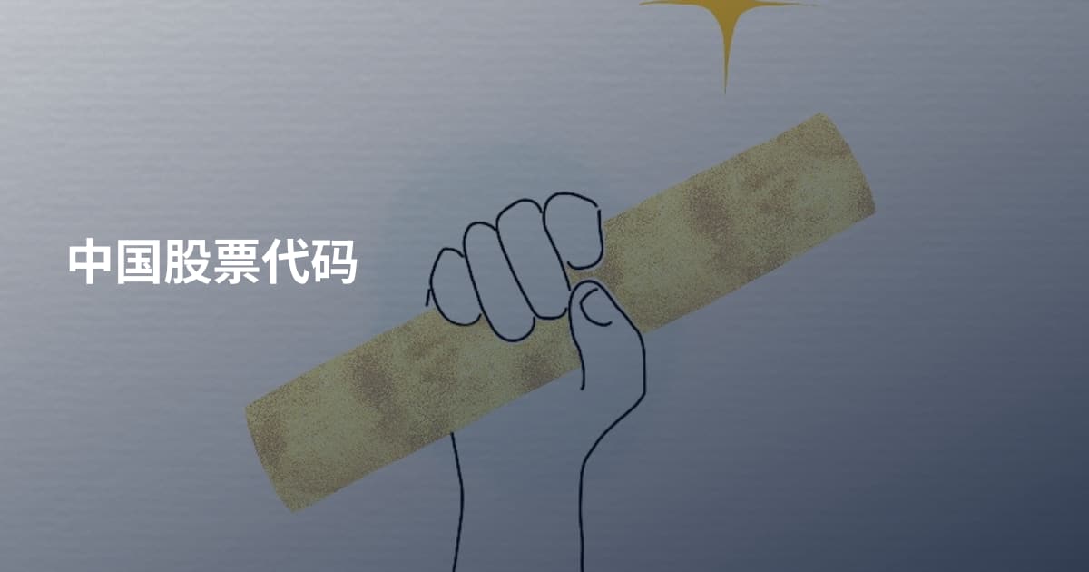中国股票代码