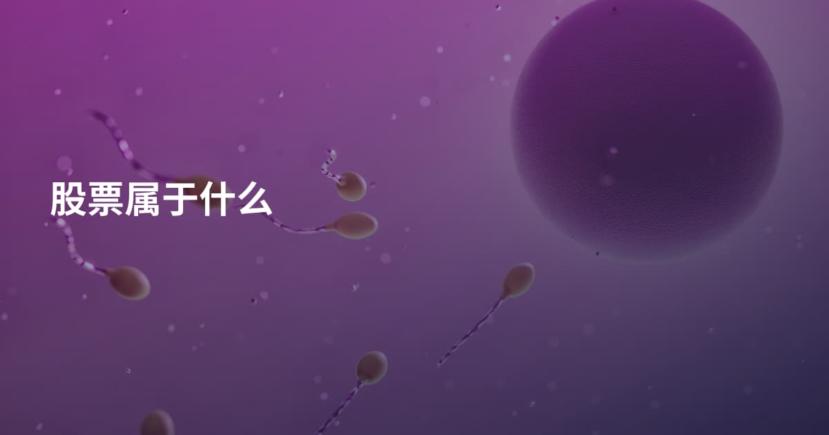 股票属于什么