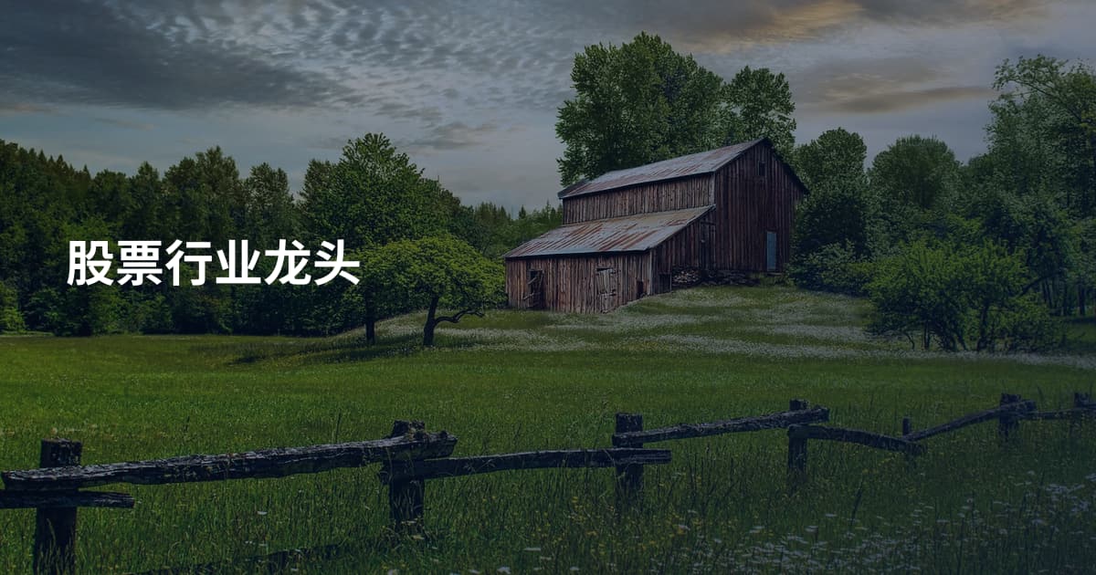 股票行业龙头