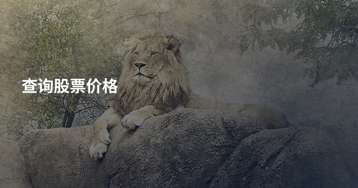查询股票价格