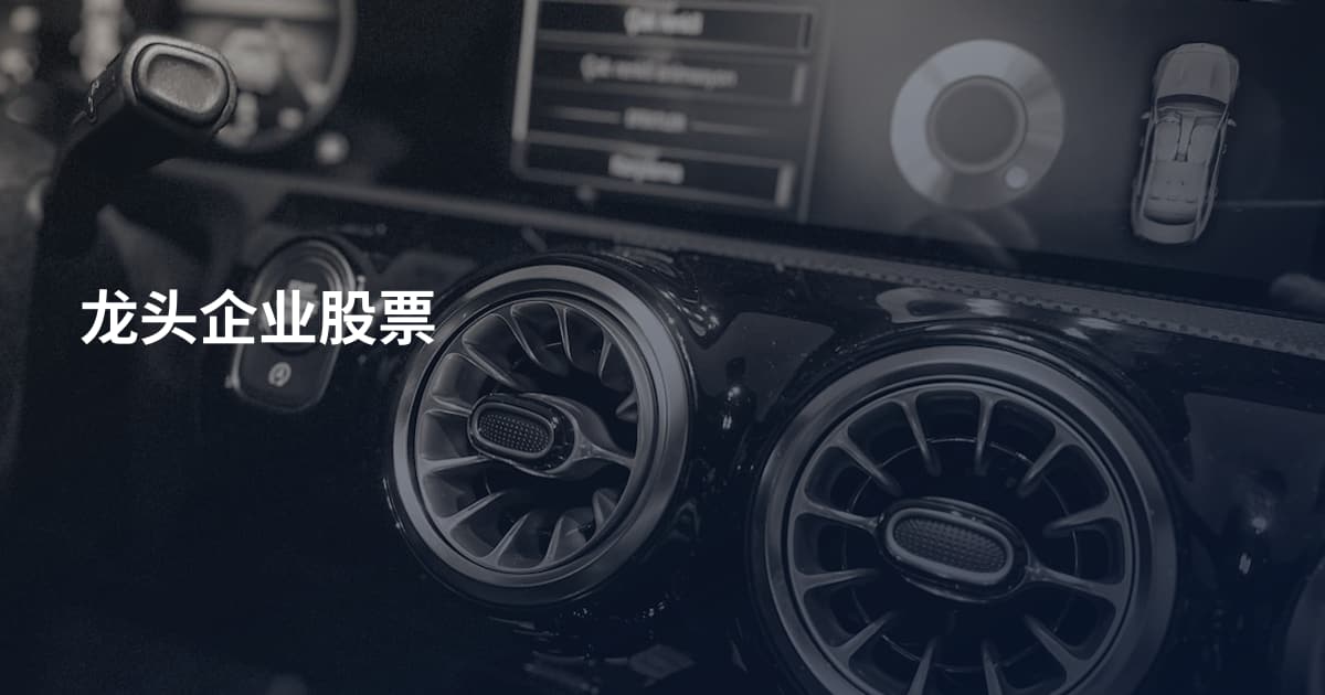 龙头企业股票