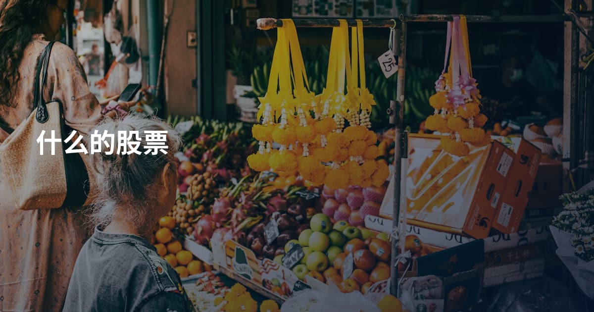 什么的股票
