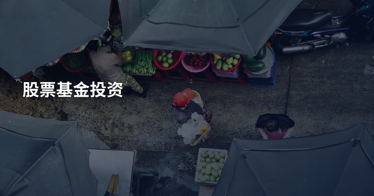 股票基金投资