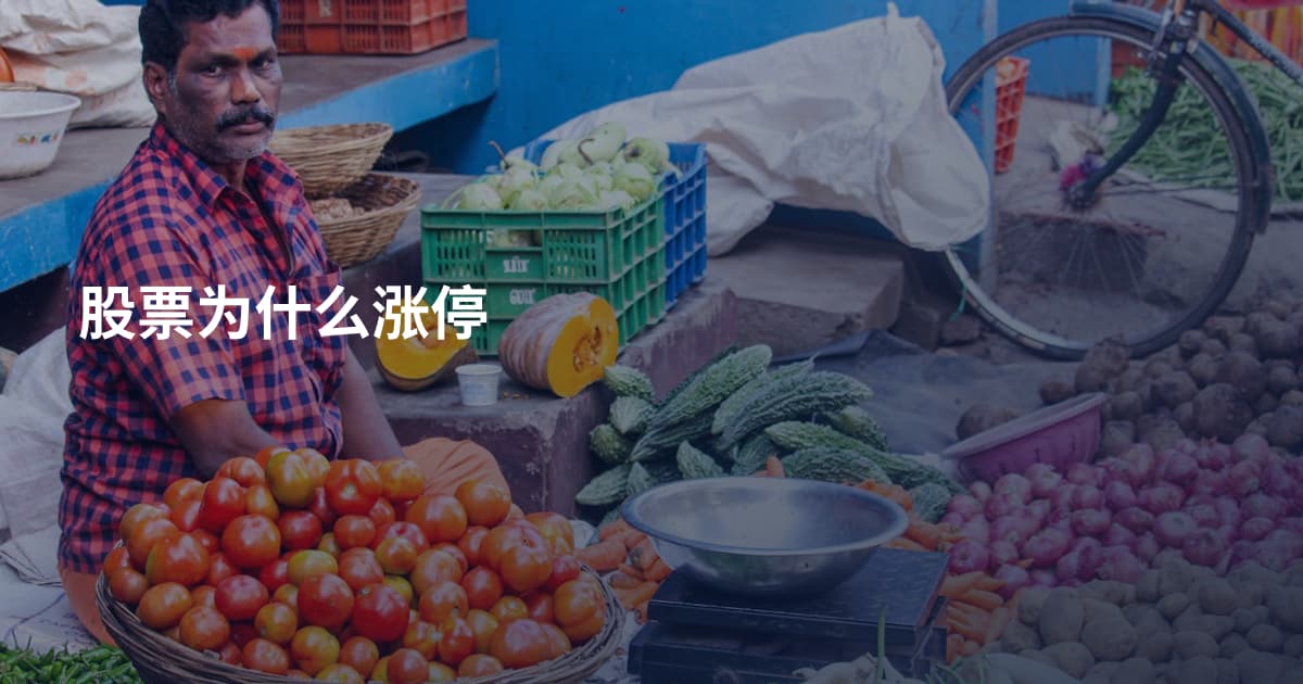 股票为什么涨停