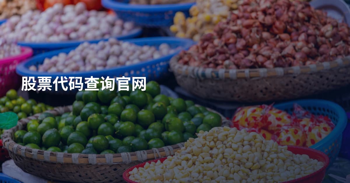 股票代码查询官网