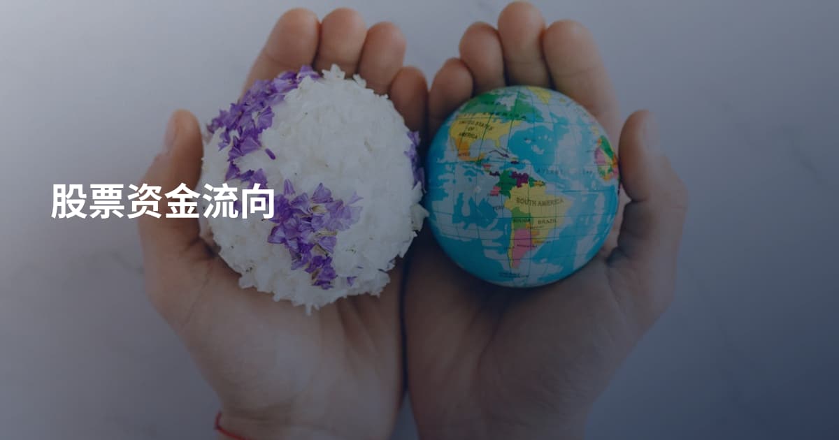 股票资金流向