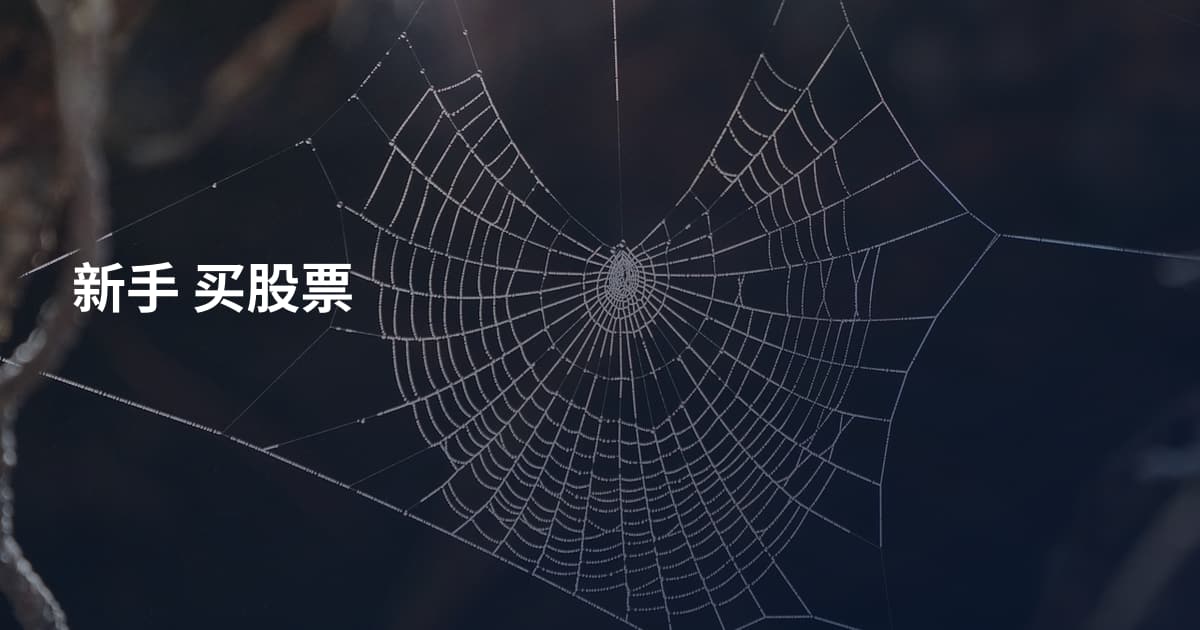 新手 买股票