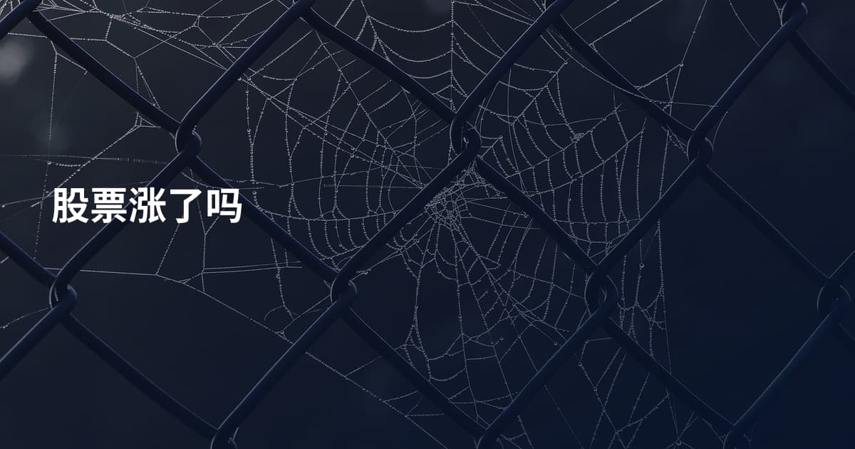 股票涨了吗