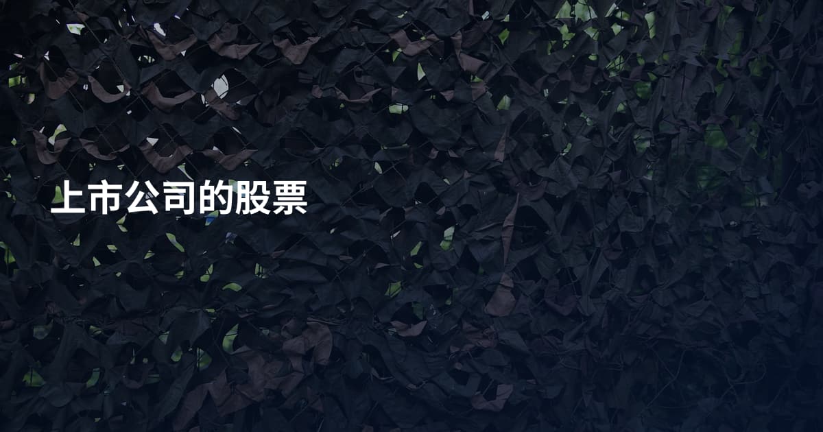上市公司的股票