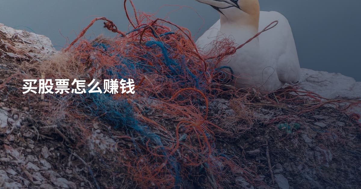 买股票怎么赚钱