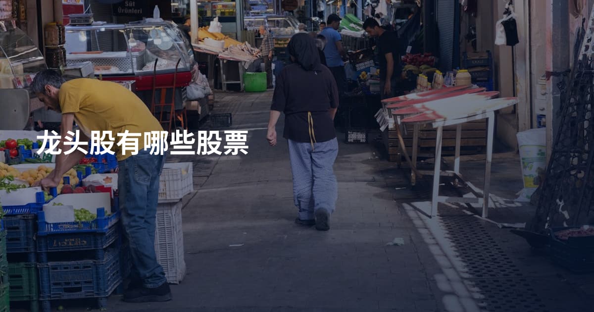 龙头股有哪些股票