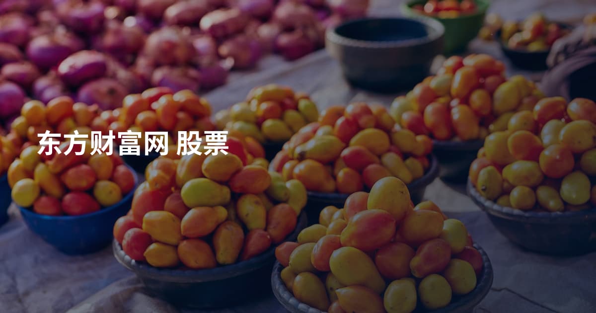 东方财富网 股票