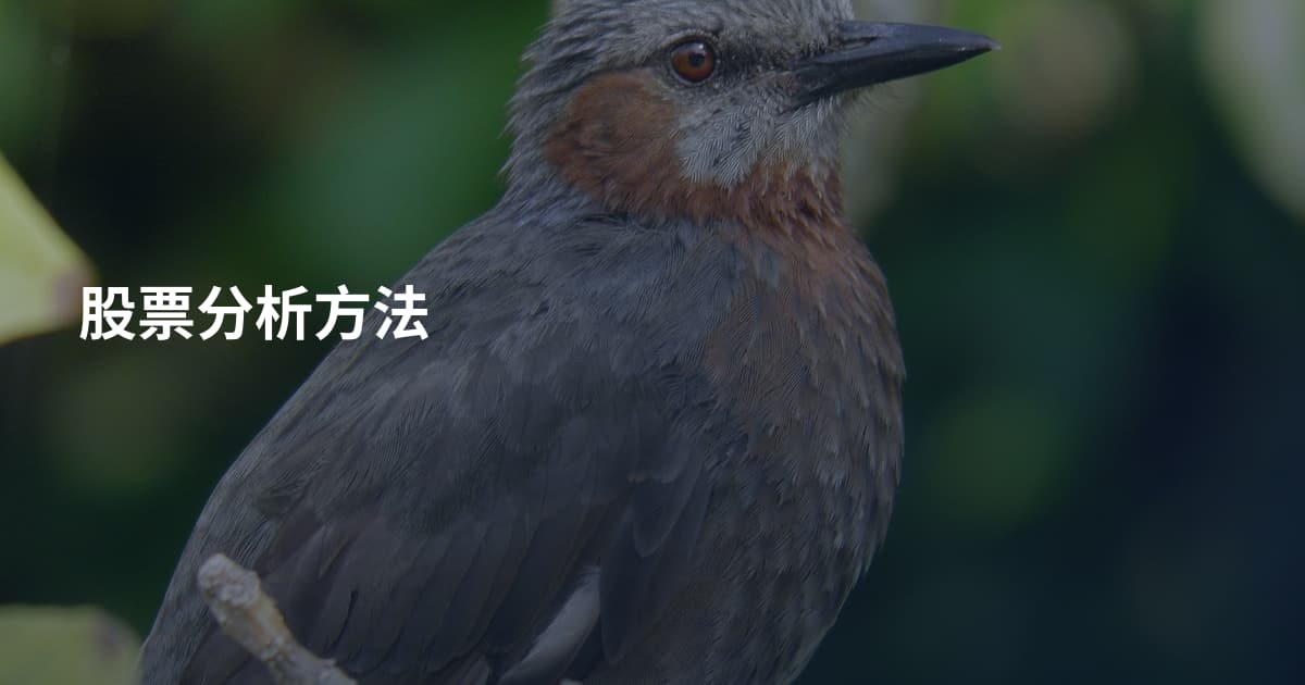 股票分析方法