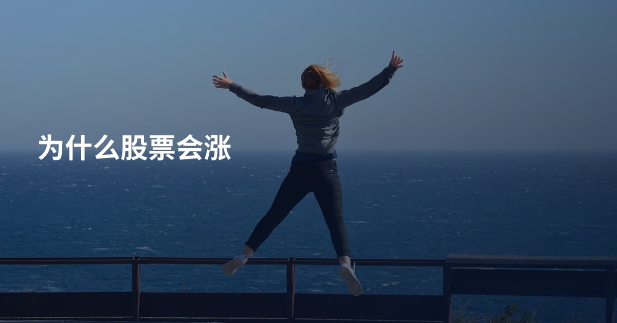 为什么股票会涨
