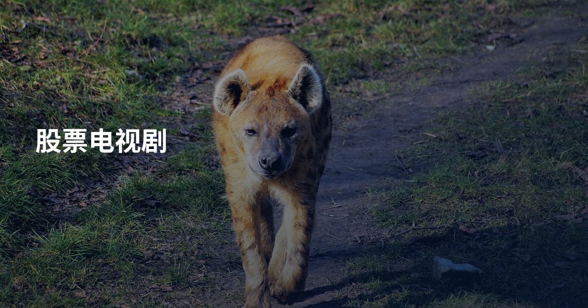 股票电视剧