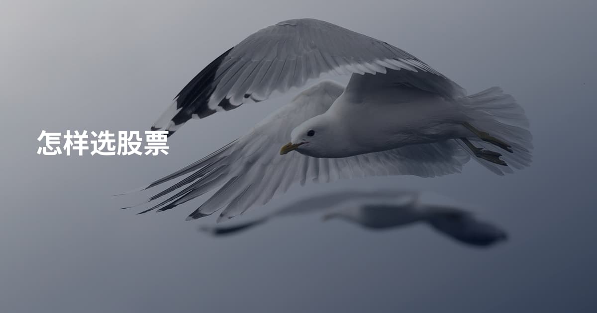 怎样选股票