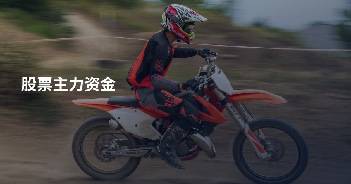 股票主力资金