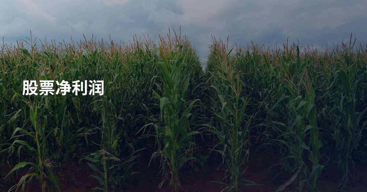 股票净利润