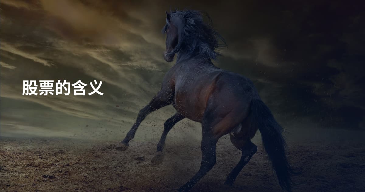 股票的含义