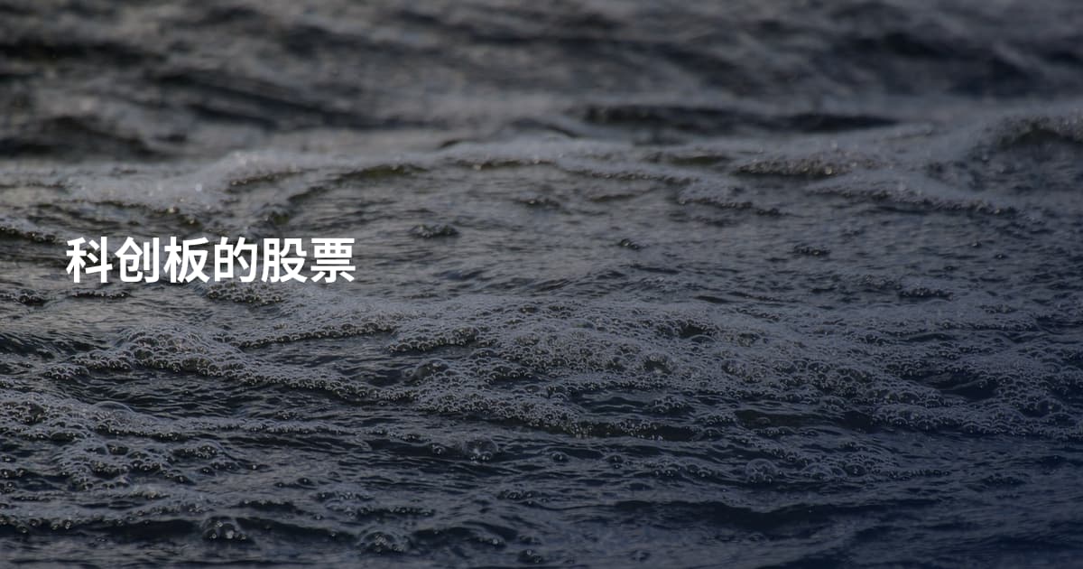 科创板的股票