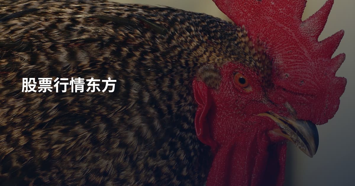 股票行情东方