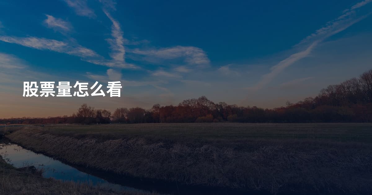 股票量怎么看