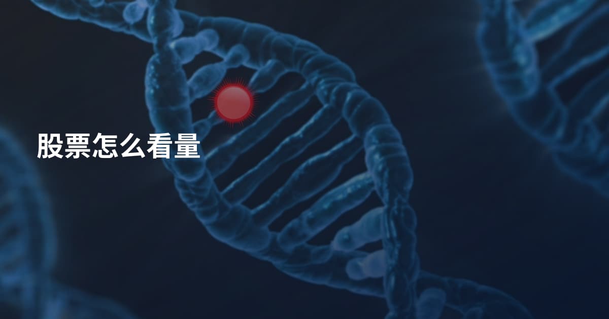 股票怎么看量