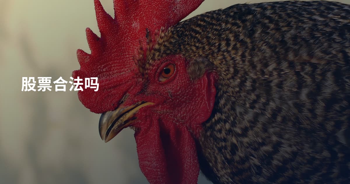 股票合法吗