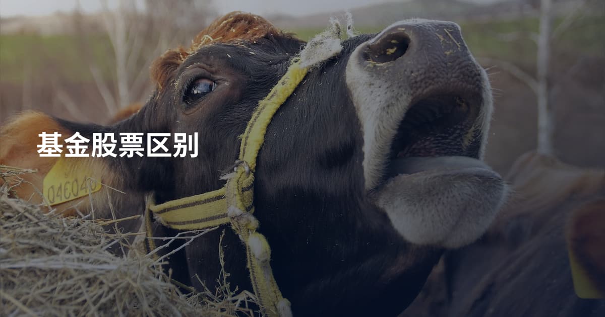 基金股票区别