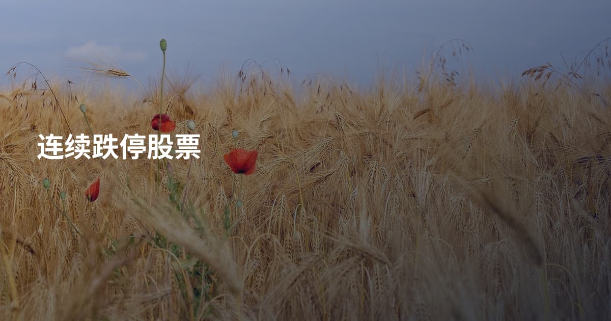 连续跌停股票
