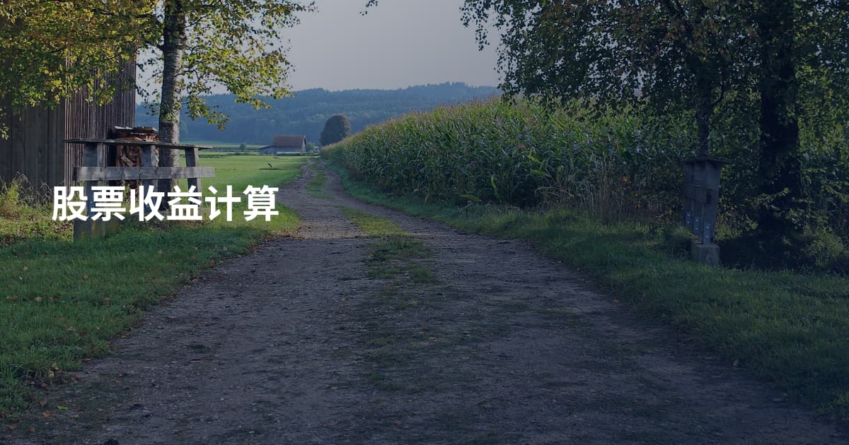 股票收益计算