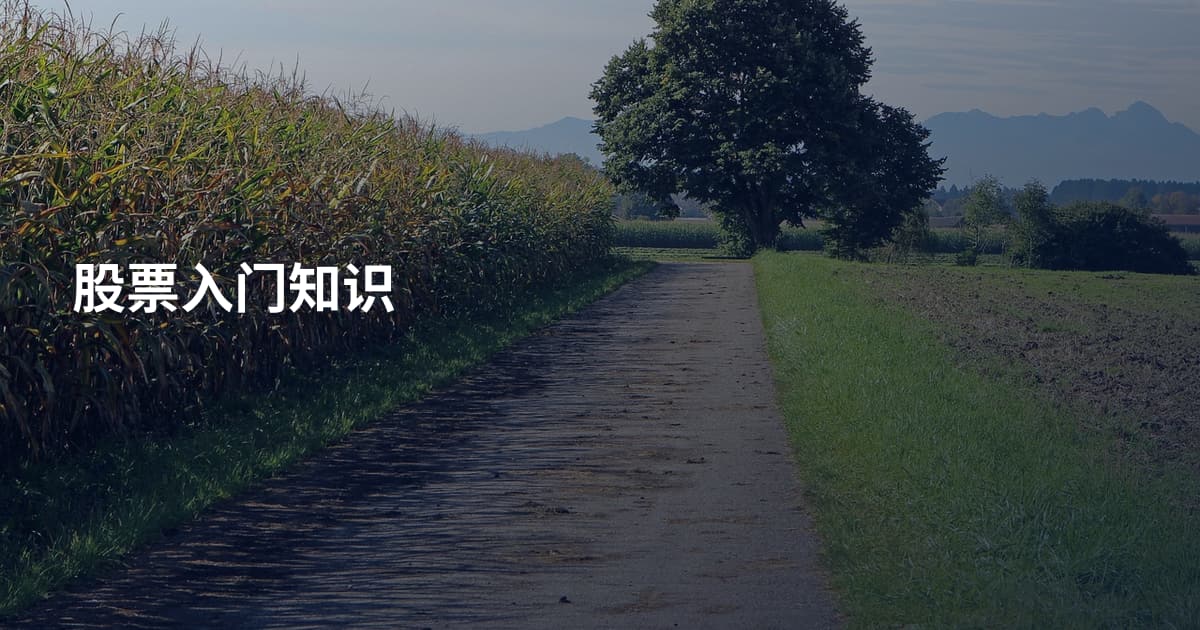 股票入门知识