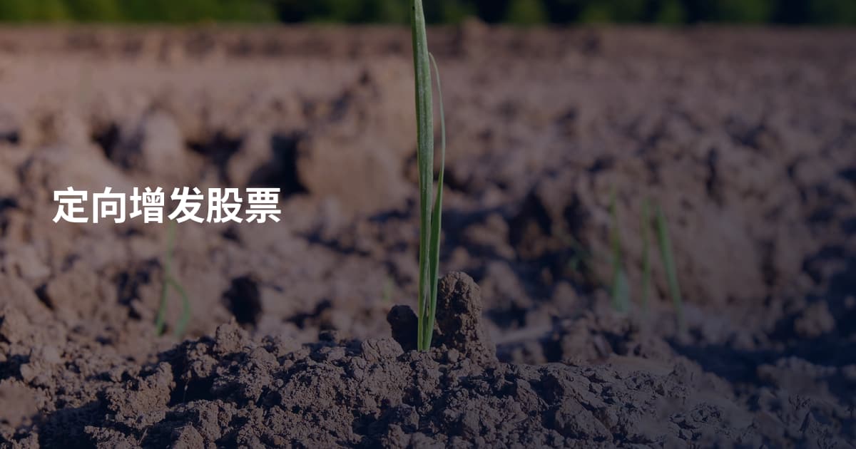 定向增发股票