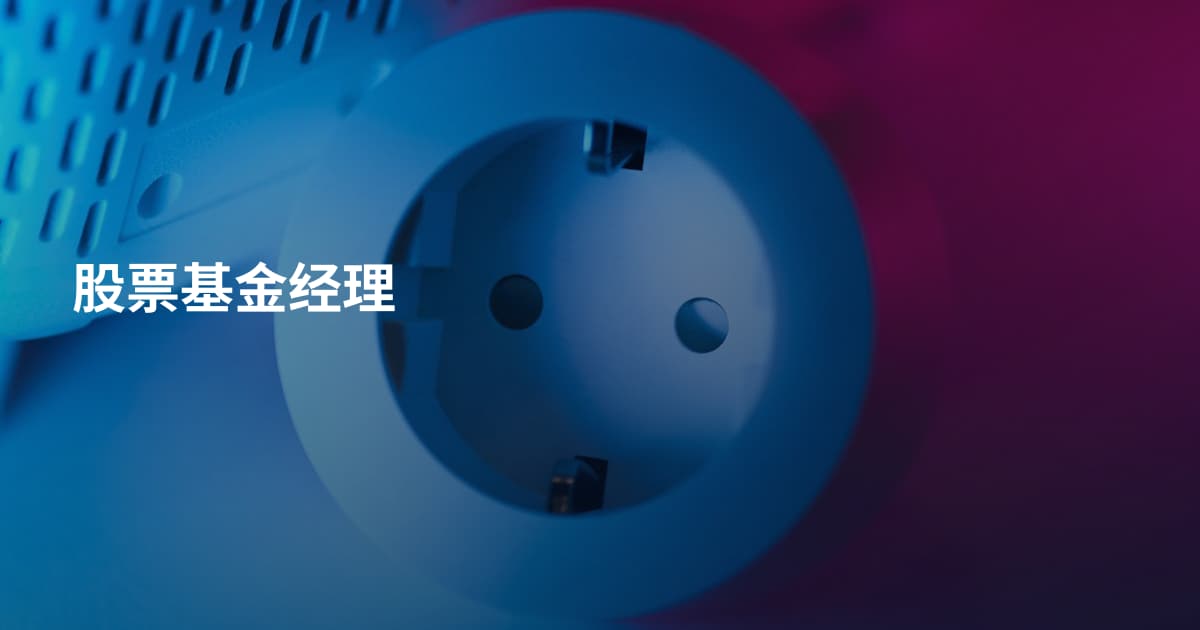 股票基金经理