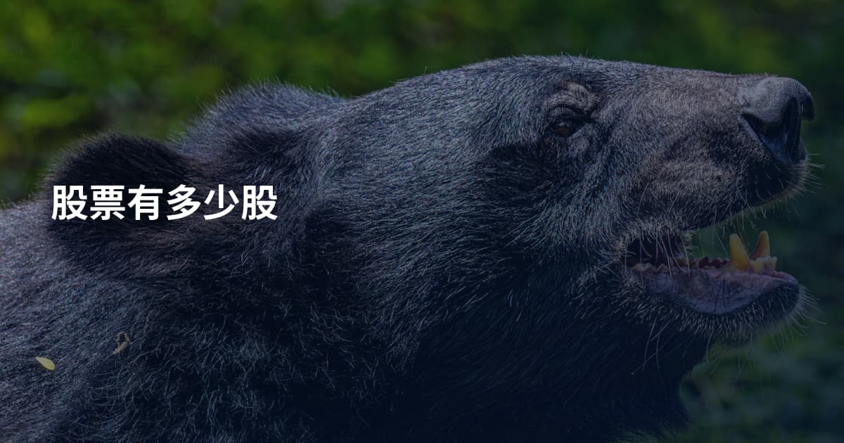 股票有多少股