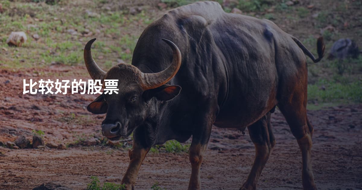 比较好的股票